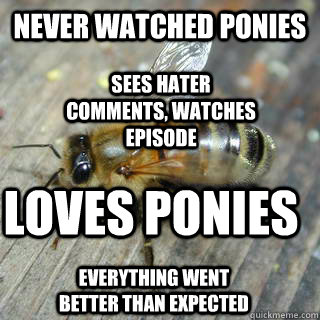 Never watched ponies Loves ponies Sees hater comments, watches episode Everything went better than expected  Hivemind bee