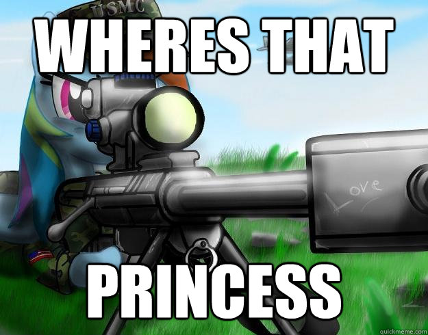 WHERES THAT PRINCESS  Rainbow Dash Barret 50 Cal