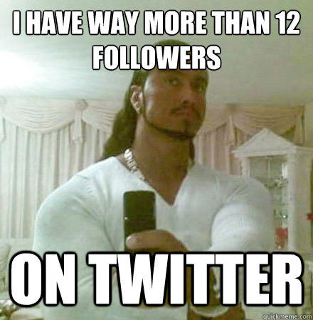 I have way more than 12 followers on twitter  Guido Jesus