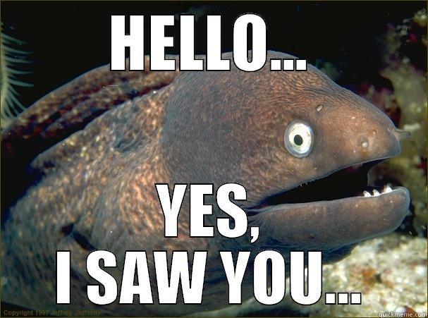 I SAW YOU... - HELLO... YES, I SAW YOU... Bad Joke Eel