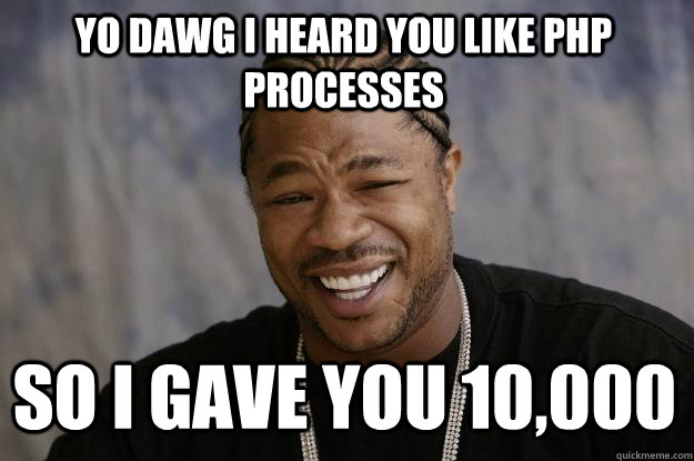 YO DAWG I HEARD YOU LIKE PHP PROCESSES SO I GAVE YOU 10,000   Xzibit meme