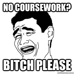 No coursework? BITCH PLEASE  Meme