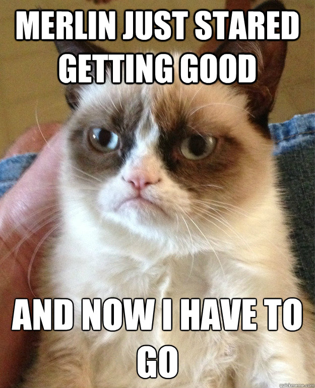 merlin just stared getting good and now i have to go
  Grumpy Cat