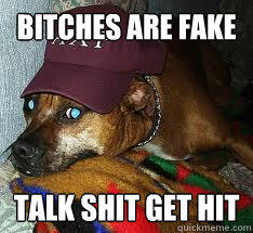 Bitches are fake Talk shit get hit - Bitches are fake Talk shit get hit  Frat Dog