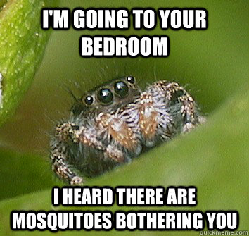 i'm going to your bedroom i heard there are mosquitoes bothering you  Misunderstood Spider