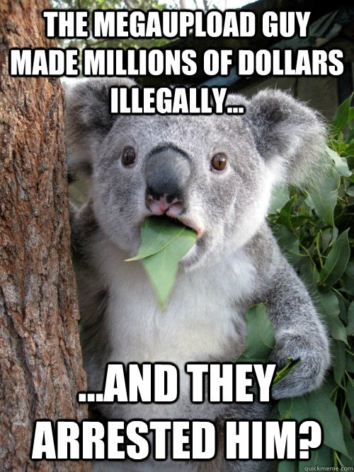 The MegaUpload guy made millions of dollars illegally... ...and they arrested him? - The MegaUpload guy made millions of dollars illegally... ...and they arrested him?  Misc