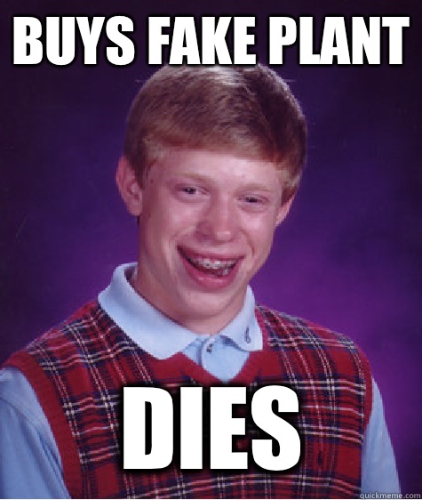 Buys fake plant Dies  Bad Luck Brian
