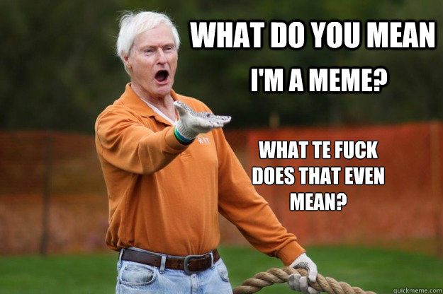What do you mean I'm a meme? What te fuck does that even mean?  RITs WTF Destler
