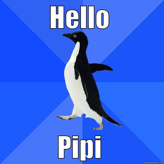 HELLO PIPI Socially Awkward Penguin