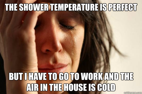 the shower temperature is perfect but i have to go to work and the air in the house is cold  First World Problems