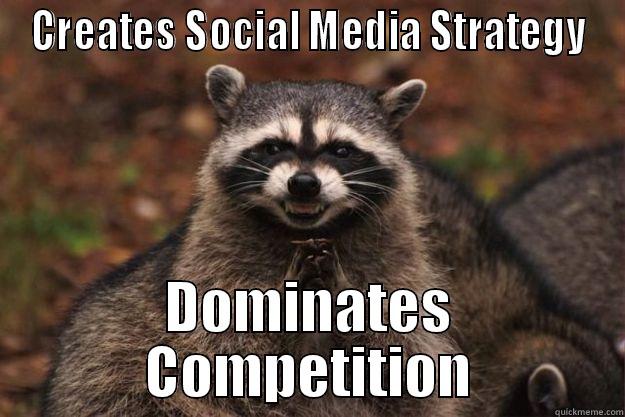 CREATES SOCIAL MEDIA STRATEGY DOMINATES COMPETITION Evil Plotting Raccoon