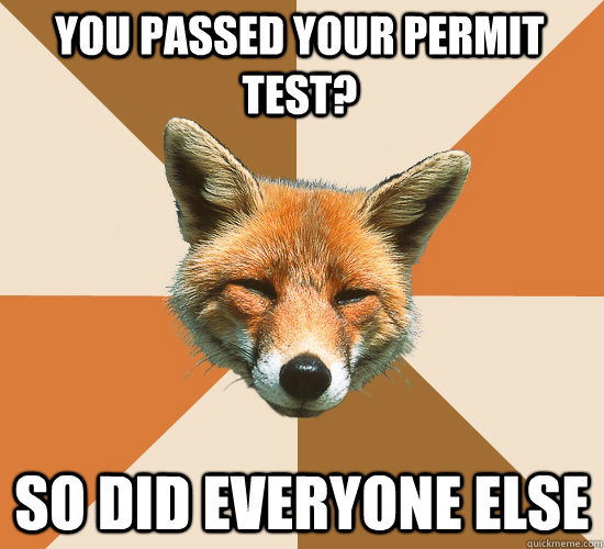 You passed your permit test? So did everyone else  Condescending Fox