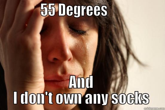              55 DEGREES                    AND I DON'T OWN ANY SOCKS First World Problems