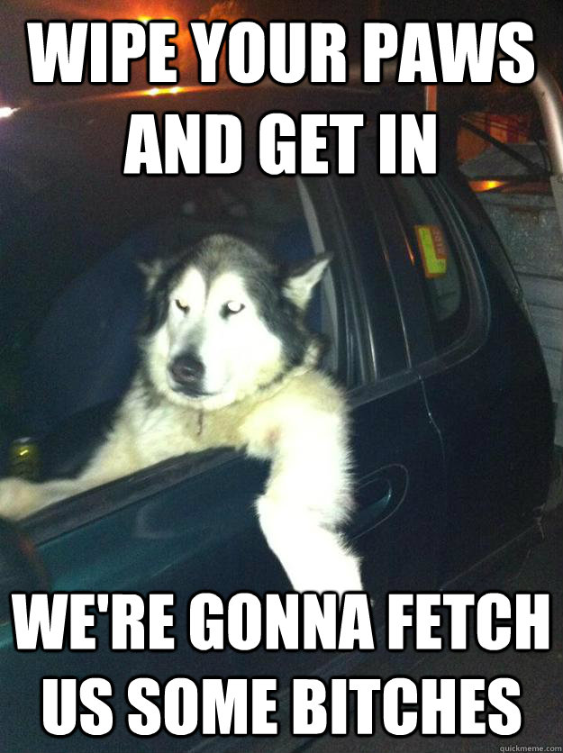 Wipe your paws and get in  we're gonna fetch us some bitches  Mean Dog