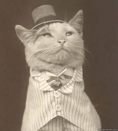   -    Aristocat