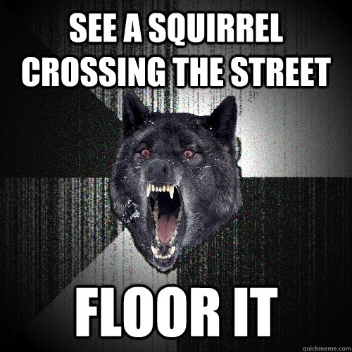 See a squirrel crossing the street Floor it  Insanity Wolf
