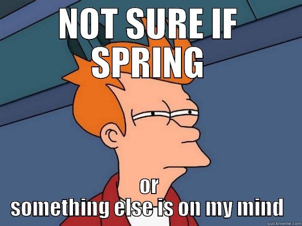 NOT SURE IF SPRING OR SOMETHING ELSE IS ON MY MIND  Futurama Fry