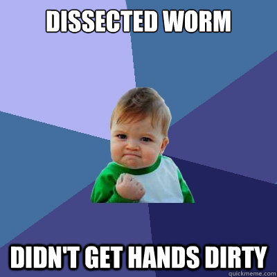 Dissected Worm Didn't Get Hands Dirty  Success Kid