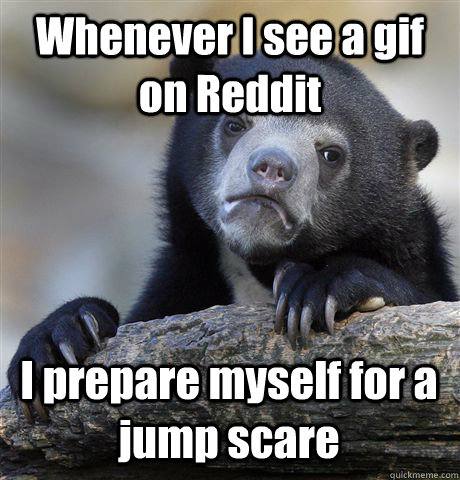 Whenever I see a gif on Reddit I prepare myself for a jump scare  Confession Bear