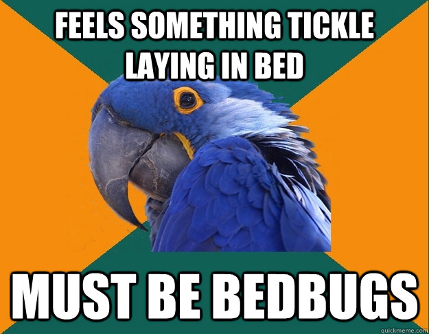feels something tickle laying in bed must be bedbugs  Paranoid Parrot