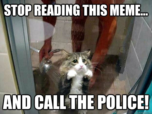 Stop reading this meme... And call the police!  Shower kitty