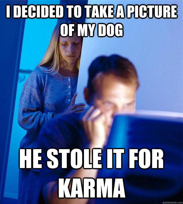I decided to take a picture of my dog he stole it for karma  Redditors Wife