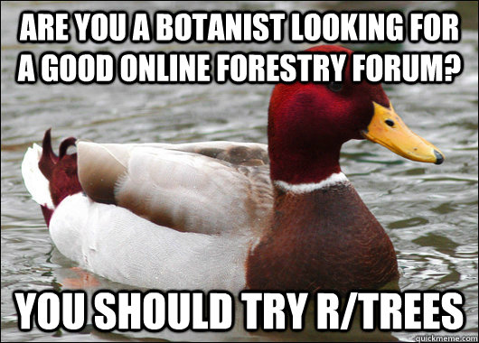 Are you a botanist looking for a good online forestry forum? you should try r/trees  Malicious Advice Mallard