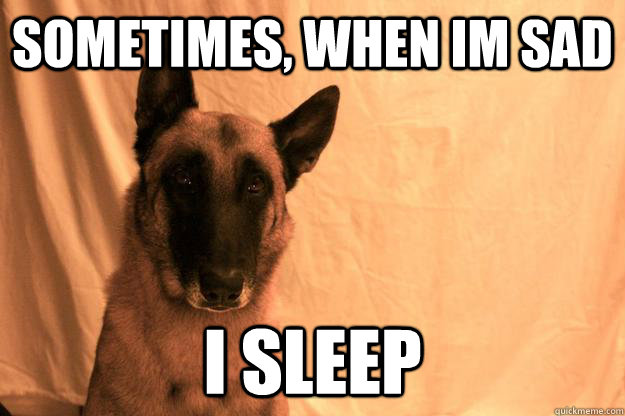 Sometimes, when im sad I sleep - Sometimes, when im sad I sleep  Contemplating Dog
