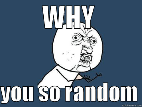 WHY  YOU SO RANDOM Y U No