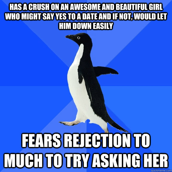 has a crush on an awesome and beautiful girl who might say yes to a date and if not, would let him down easily fears rejection to much to try asking her  Socially Awkward Penguin