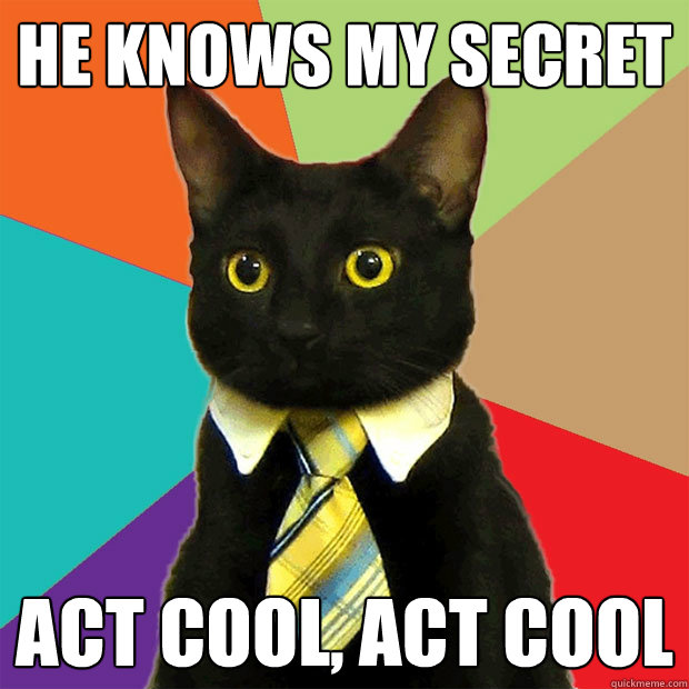 he knows my secret act cool, act cool - he knows my secret act cool, act cool  Business Cat