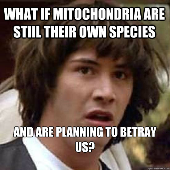 what if mitochondria are stiil their own species and are planning to betray us?  conspiracy keanu