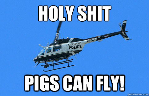 HOLY SHIT PIGS CAN FLY!  