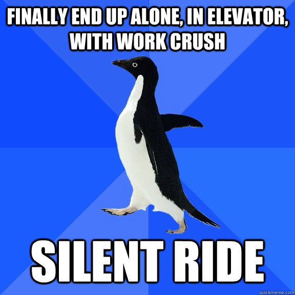 finally end up alone, in elevator, with work crush silent ride  Socially Awkward Penguin