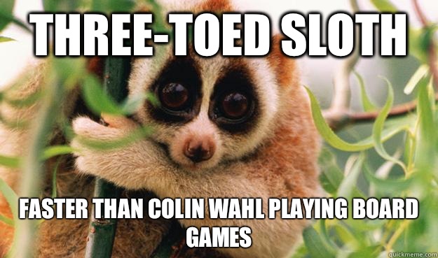 Three-toed sloth Faster than Colin Wahl playing board games  