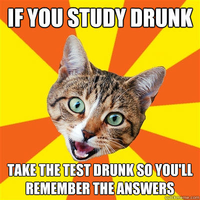 If you study drunk take the test drunk so you'll remember the answers - If you study drunk take the test drunk so you'll remember the answers  Bad Advice Cat