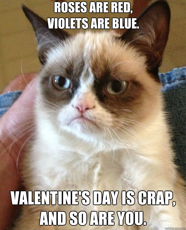 Roses are red,
Violets are blue. Valentine's Day is crap,
and so are you. - Roses are red,
Violets are blue. Valentine's Day is crap,
and so are you.  Misc