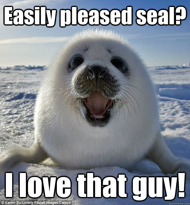 Easily pleased seal? I love that guy!  Easily Pleased Seal