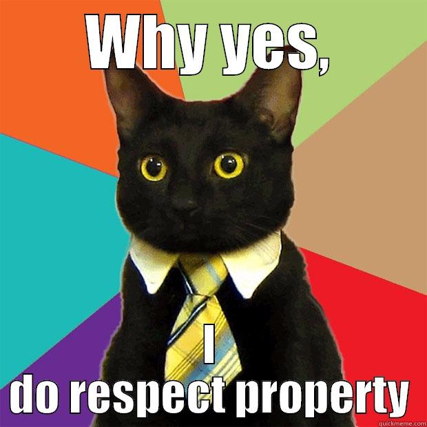 WHY YES, I DO RESPECT PROPERTY Business Cat