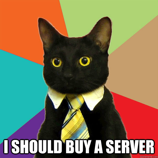  I should buy a server  Business Cat