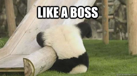 Funny Panda Memes Quickmeme