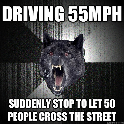 Driving 55mph suddenly stop to let 50 people cross the street  Insanity Wolf