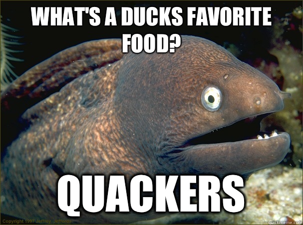 What's a ducks Favorite food? Quackers  Bad Joke Eel