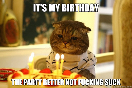 It's My Birthday The party better not fucking suck - It's My Birthday The party better not fucking suck  Dissapointed Birthday Cat