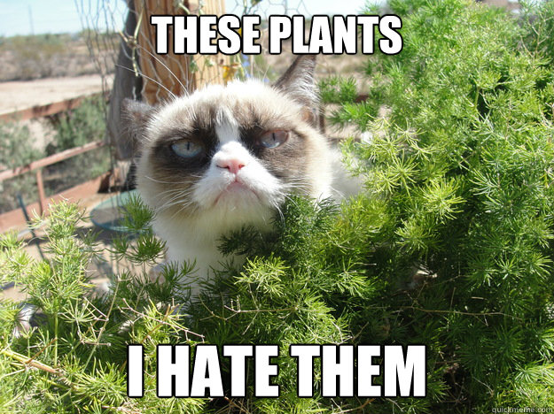 These plants I hate them - These plants I hate them  Misc