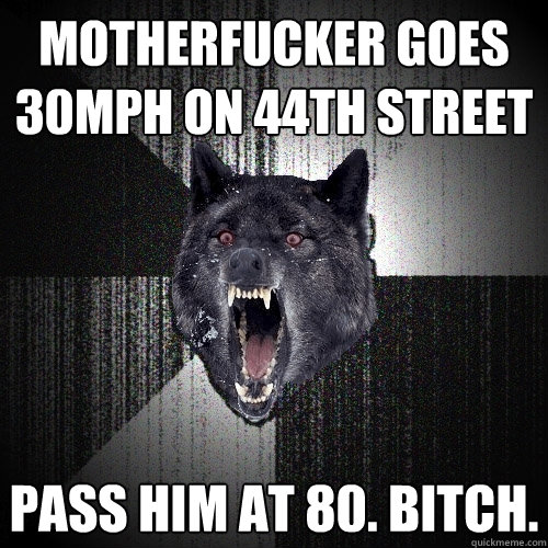 Motherfucker goes 30mph on 44th street Pass him at 80. bitch.  Insanity Wolf