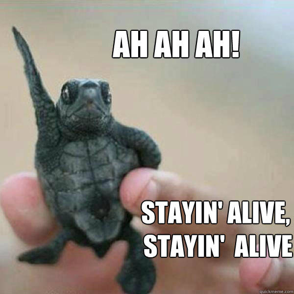 Ah ah ah! Stayin' Alive,
 Stayin'  Alive  