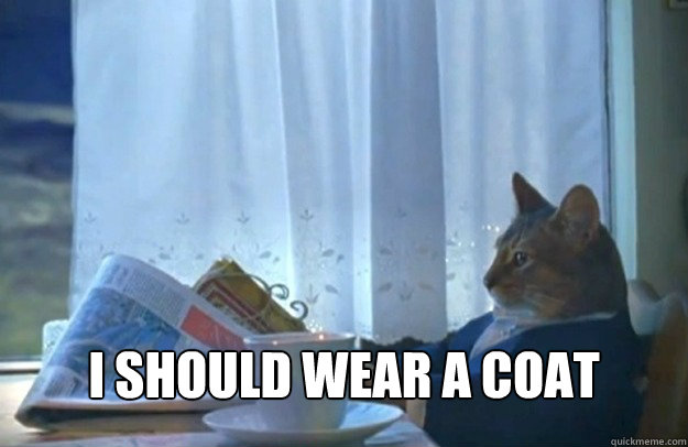 I should wear a coat  Sophisticated Cat