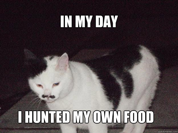 In my day i hunted my own food - In my day i hunted my own food  Old timey cat