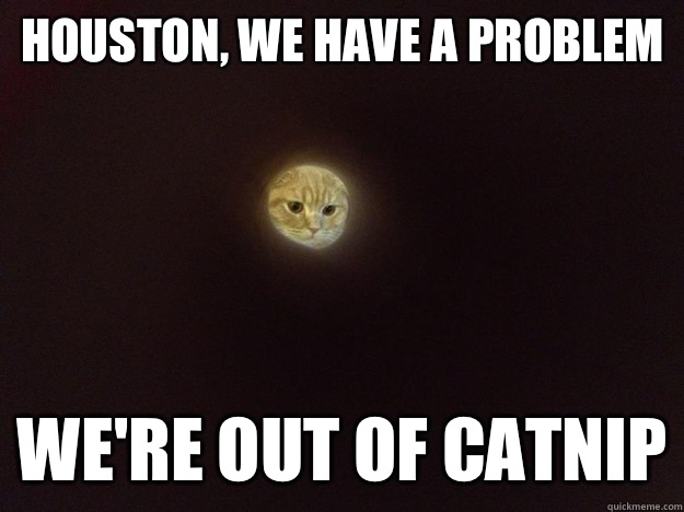 Houston, we have a problem  We're out of catnip - Houston, we have a problem  We're out of catnip  Moon Cat